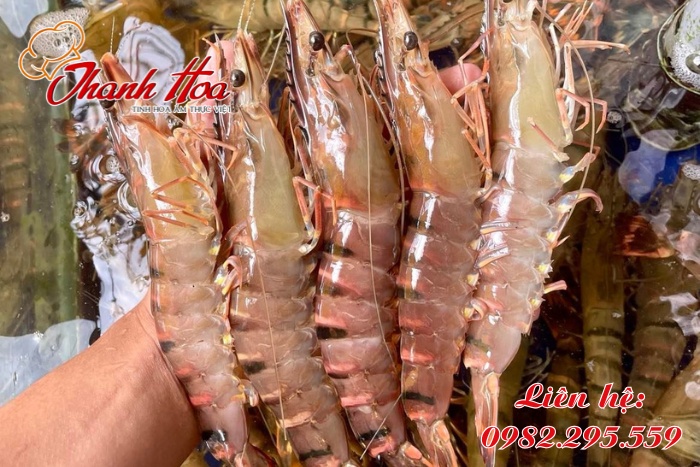 Nguyên liệu tươi ngon để chế biến được món ăn chất lượng nhất