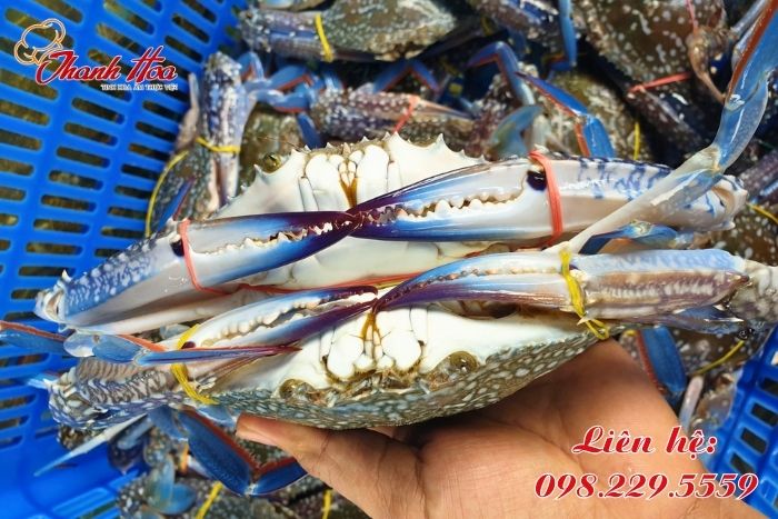 Chất lượng và an toàn thực phẩm đặt lên hàng đầu